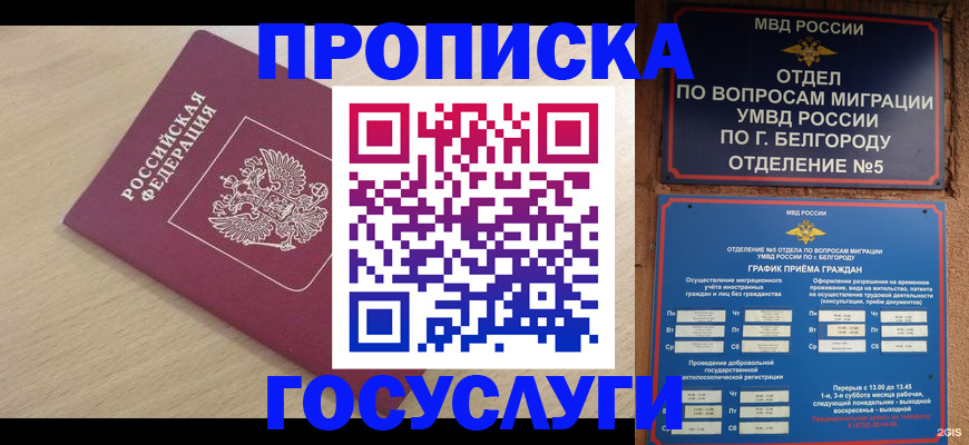 прописка законно в Коле